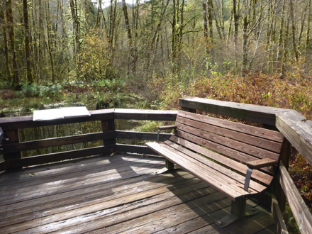 Bench and informational picture book at the wetland overlook – one of three overviews – wooden boardwalk